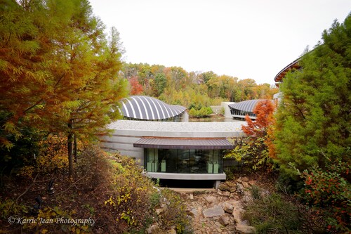 Steps To Downtown Bentonville IV