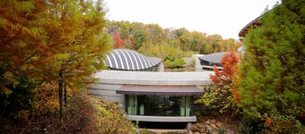 Steps To Downtown Bentonville IV