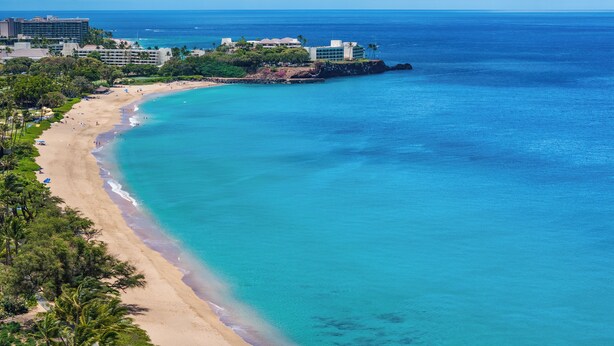 Un hôtel situé sur la côte, offrant une vue sur la plage, avec une plage de sable et une végétation luxuriante.