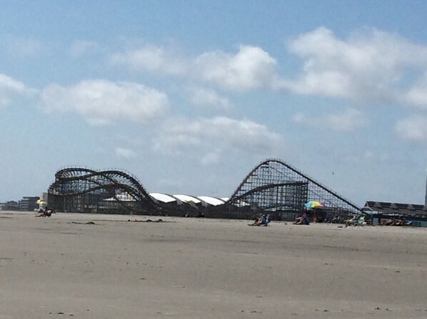 ビーチ、サンラウンジャー