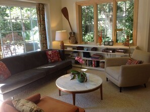 Älytelevisio, takka, DVD-soitin, kirjoja