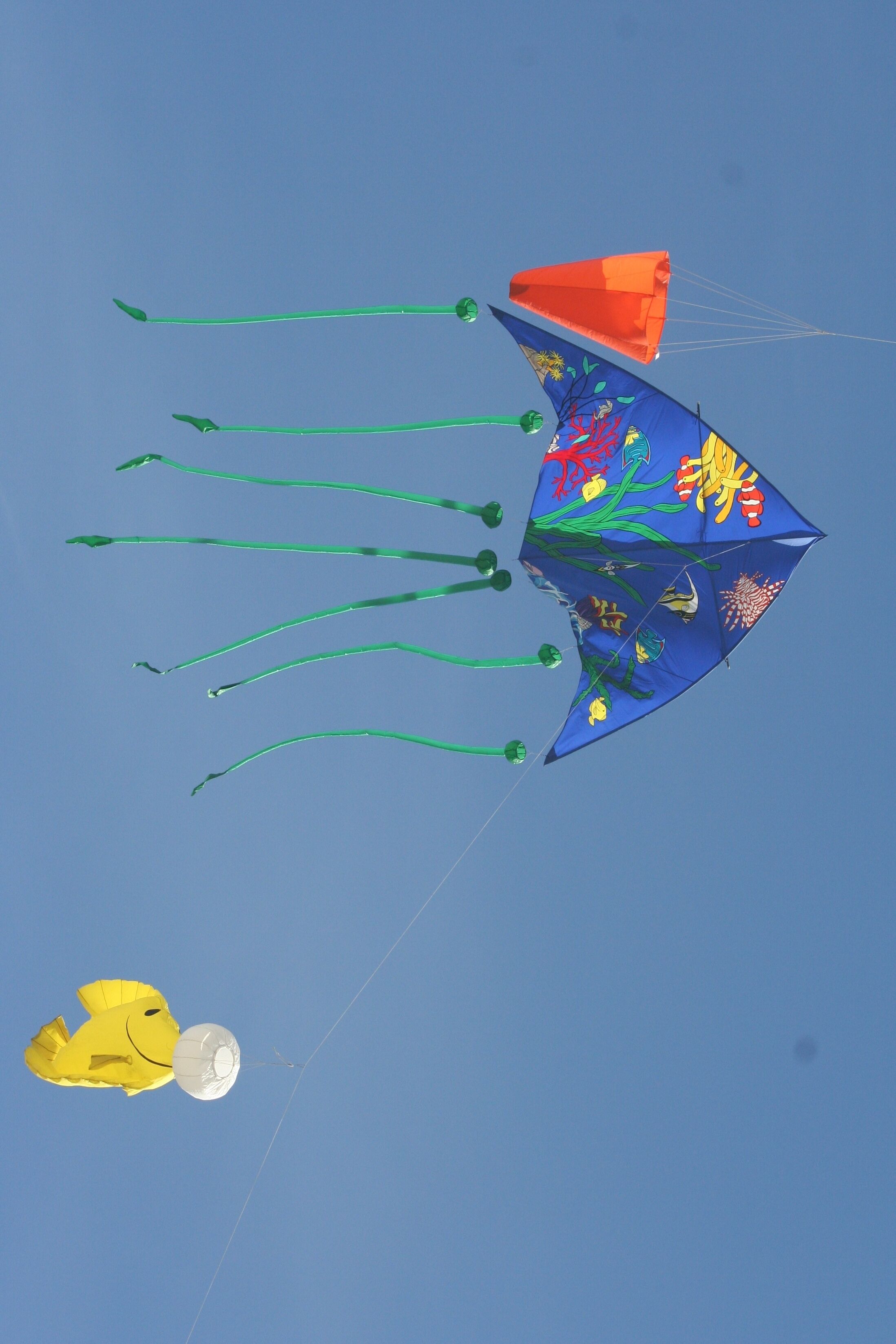 Lots of beautiful kites above the beach.