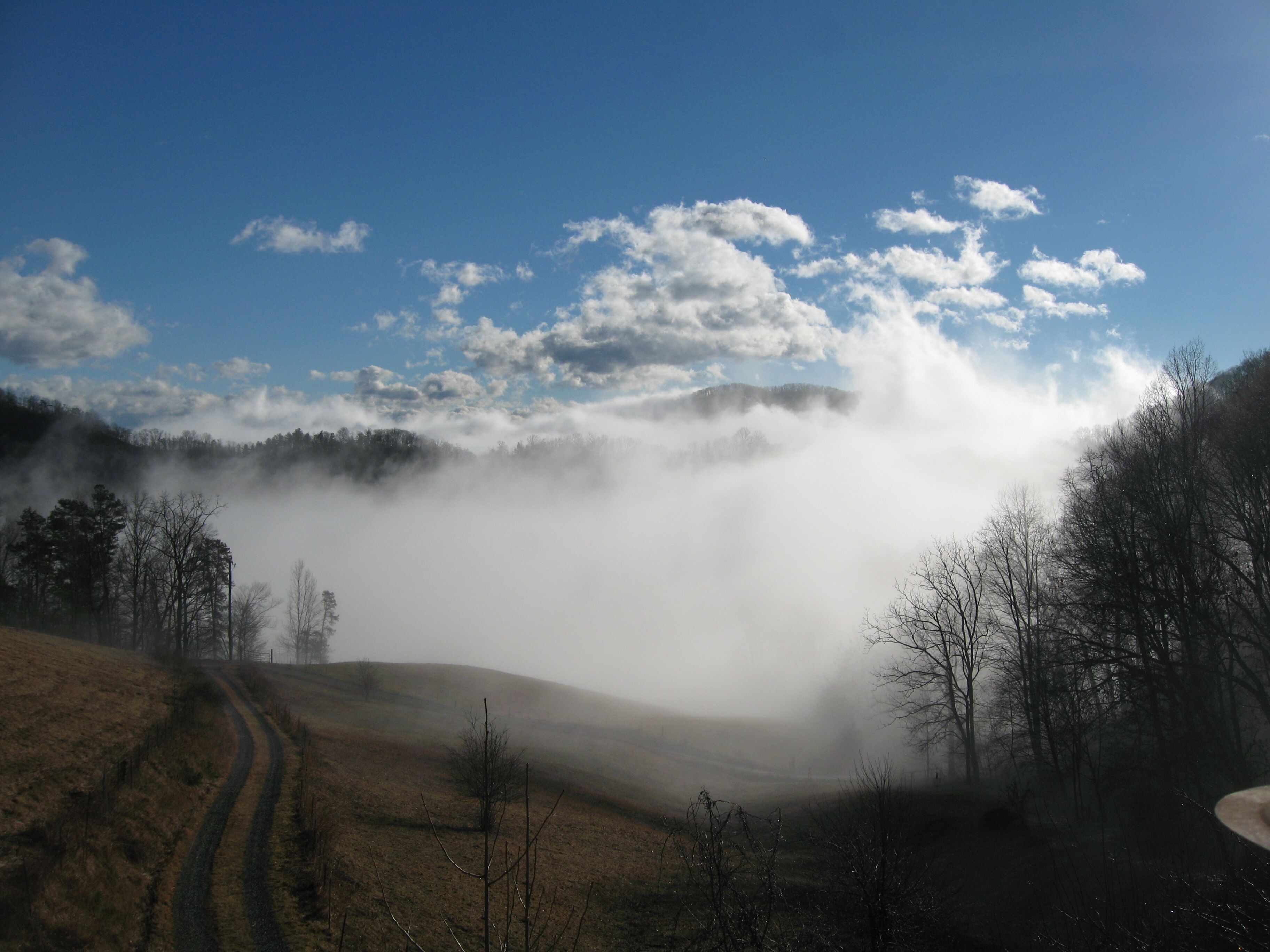 Un paysage brumeux avec un chemin de terre, des arbres et une montagne en arrière-plan.