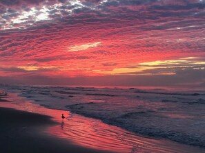 On the beach, sun loungers - Beachfront  Panoramic Views,  Covered Patio, Clean, 6 Miles from Town (galveston)