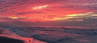 Beachfront  Panoramic Views,  Covered Patio, Clean, 6 Miles from Town