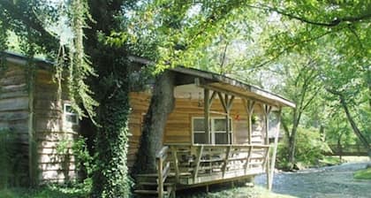 Cabin RIVERFRONT sur Nantahala, ProcĂšs-verbal de la CNP