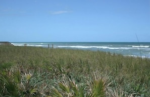 Beach nearby, sun loungers, beach towels - ALL Pets Welcome, Private Beach,  Tiki Hut,  Fenced Yard (Jensen Beach)