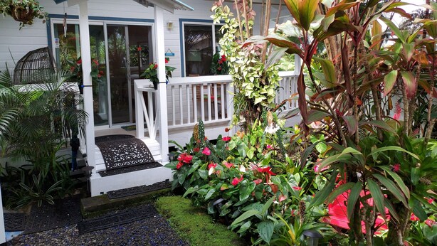 A house with a porch, surrounded by lush tropical plants and a small garden.