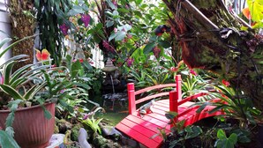 A red wooden bridge over a small pond in a lush garden with various plants and a stone fountain.
