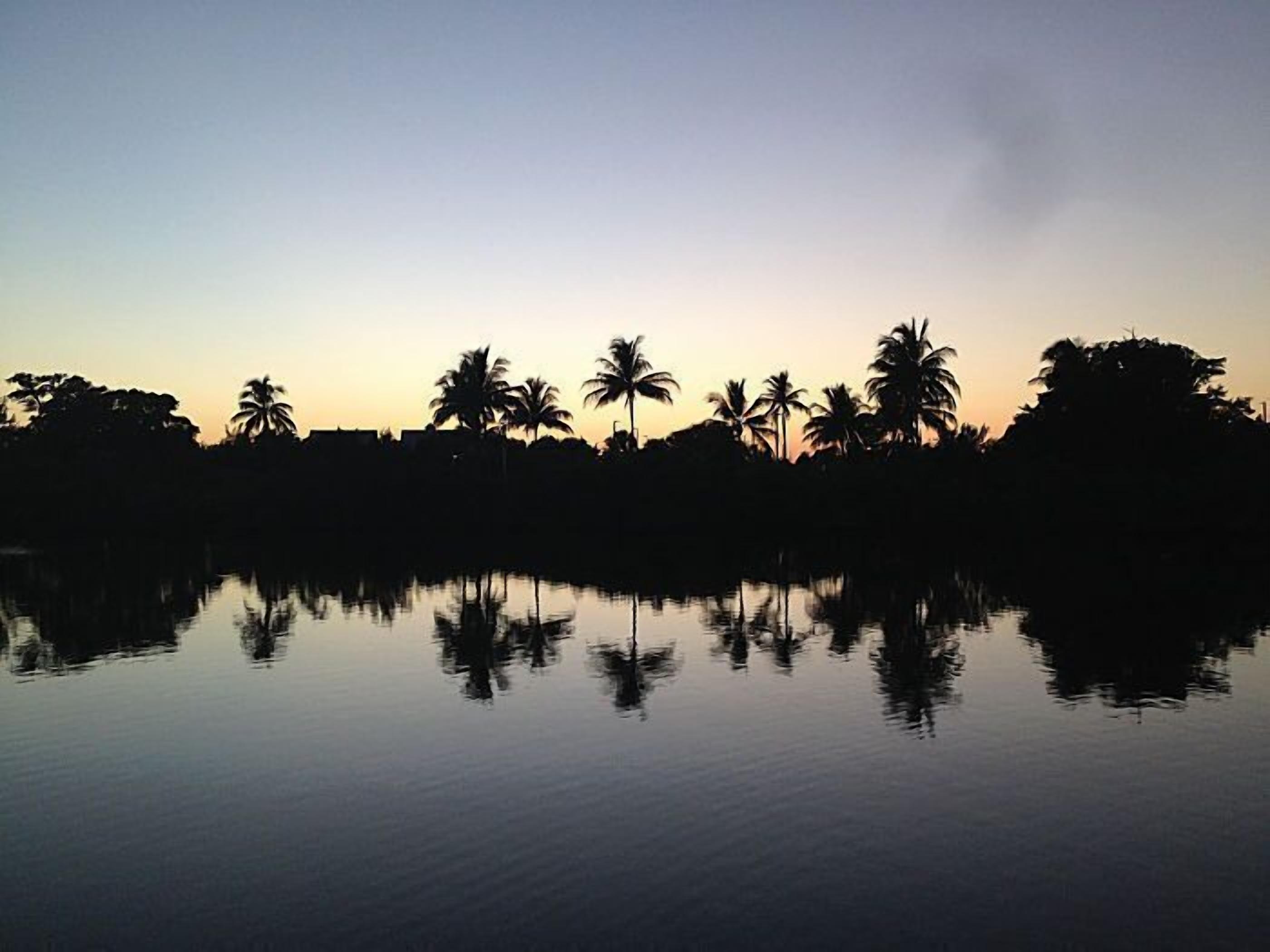 A calm body of water reflecting palm trees and a clear sky.