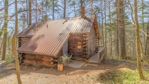 Une cabane rustique en rondins de bois, surmontée d’un toit en métal, et entourée d’une forêt.