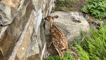 Enceinte de lâhĂ©bergement