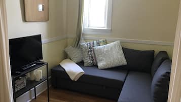 Smart TV, DVD player, books