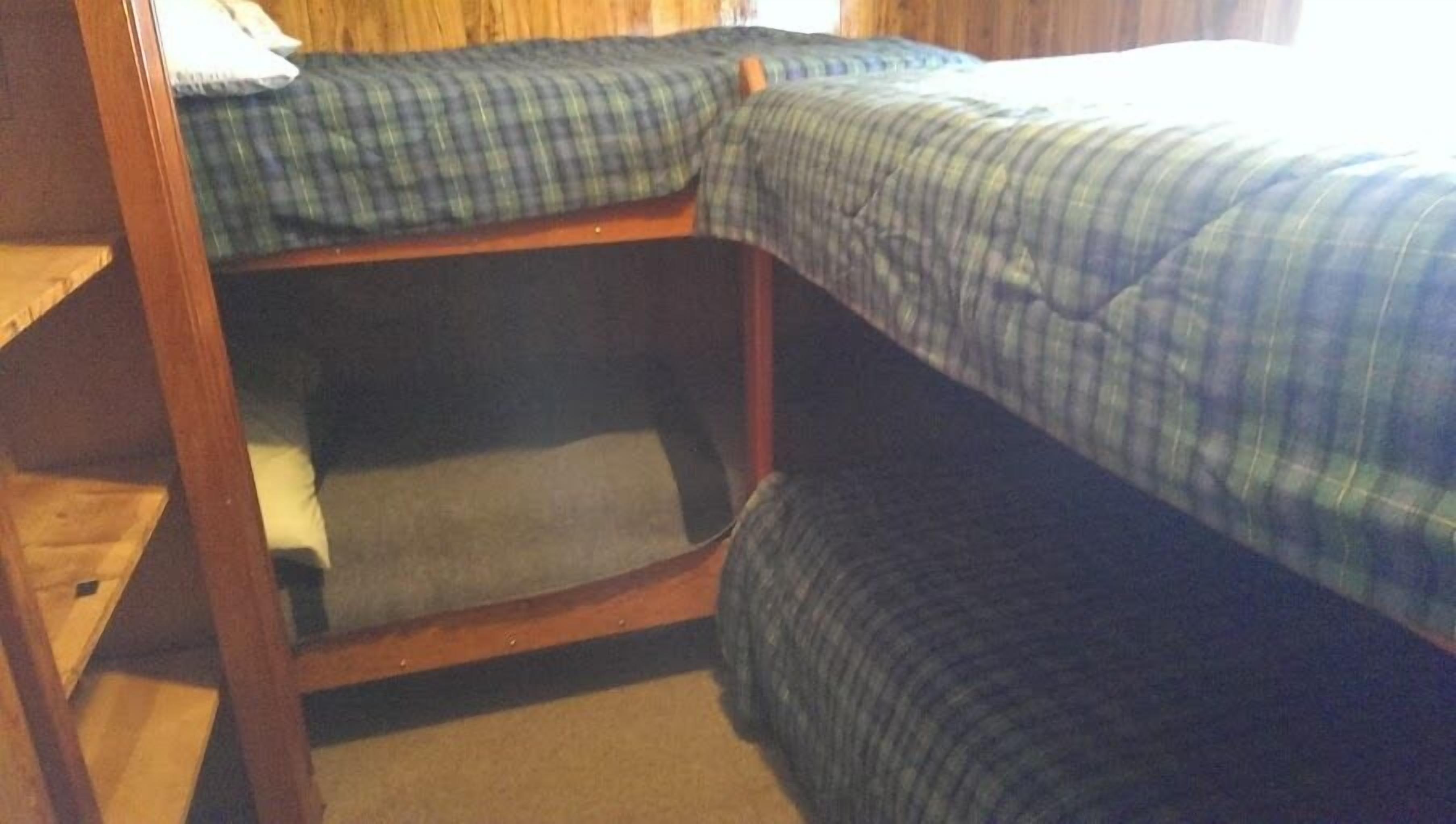 A bunk bed with a wooden frame and blue bedding.