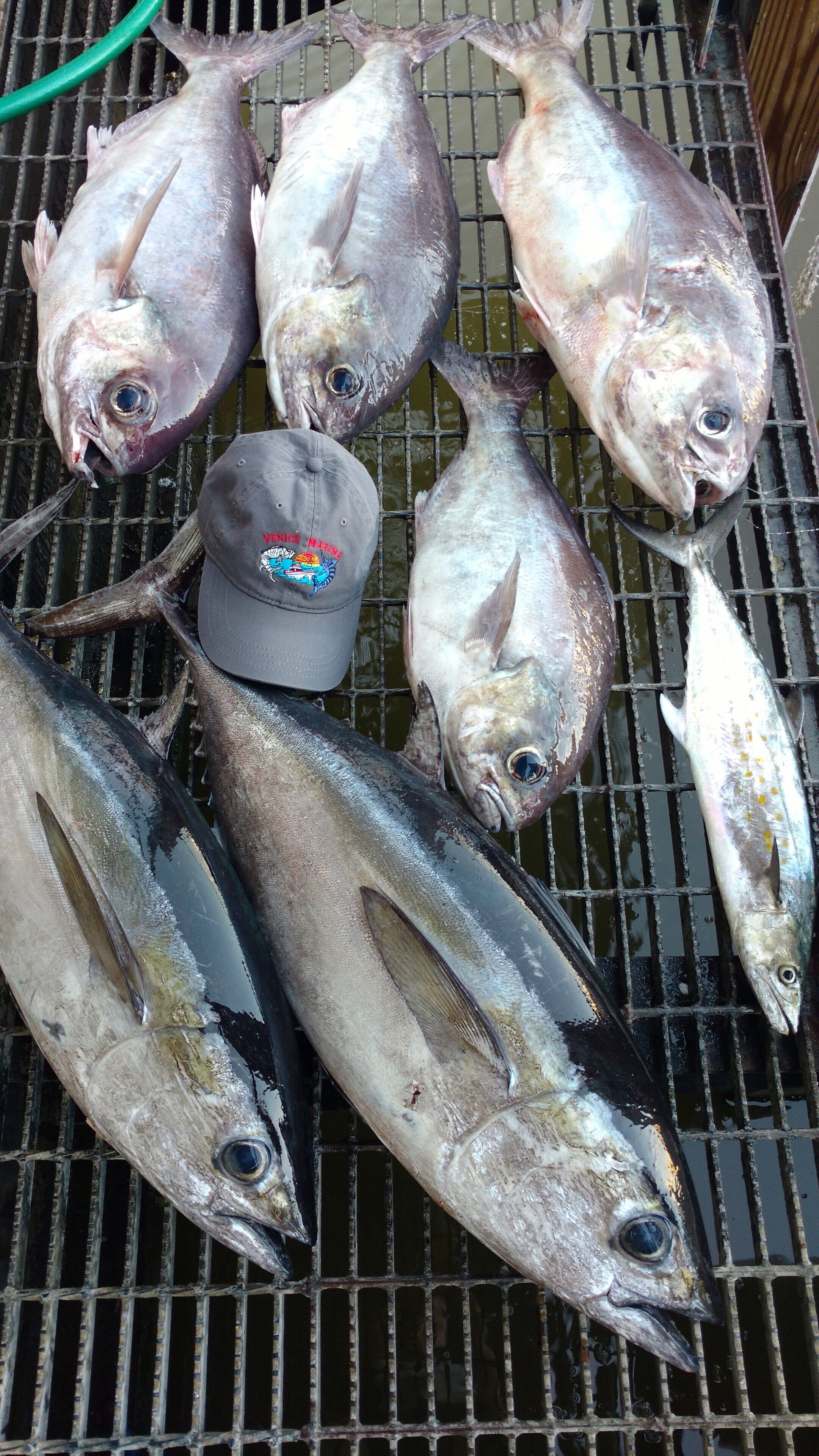 A grill with various fish laid out on it.