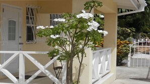 Una planta blanca con flores en maceta frente a un edificio con barandilla y puerta blancos.