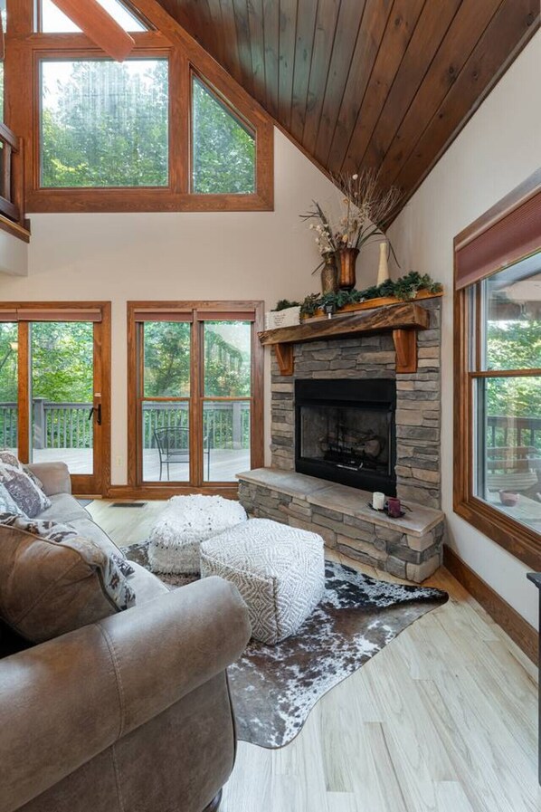 Smart TV, fireplace, DVD player, books