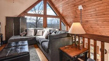 TV connectée, cheminée, lecteur de DVD, livres