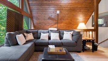 TV connectée, cheminée, lecteur de DVD, livres