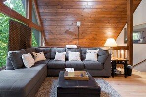 Una Smart TV, una chimenea, un reproductor de DVD, libros