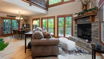 TV connectée, cheminée, lecteur de DVD, livres