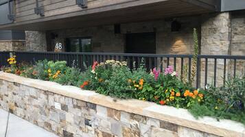 Detalle del exterior