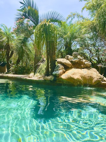 Relax by the tropical water fall.