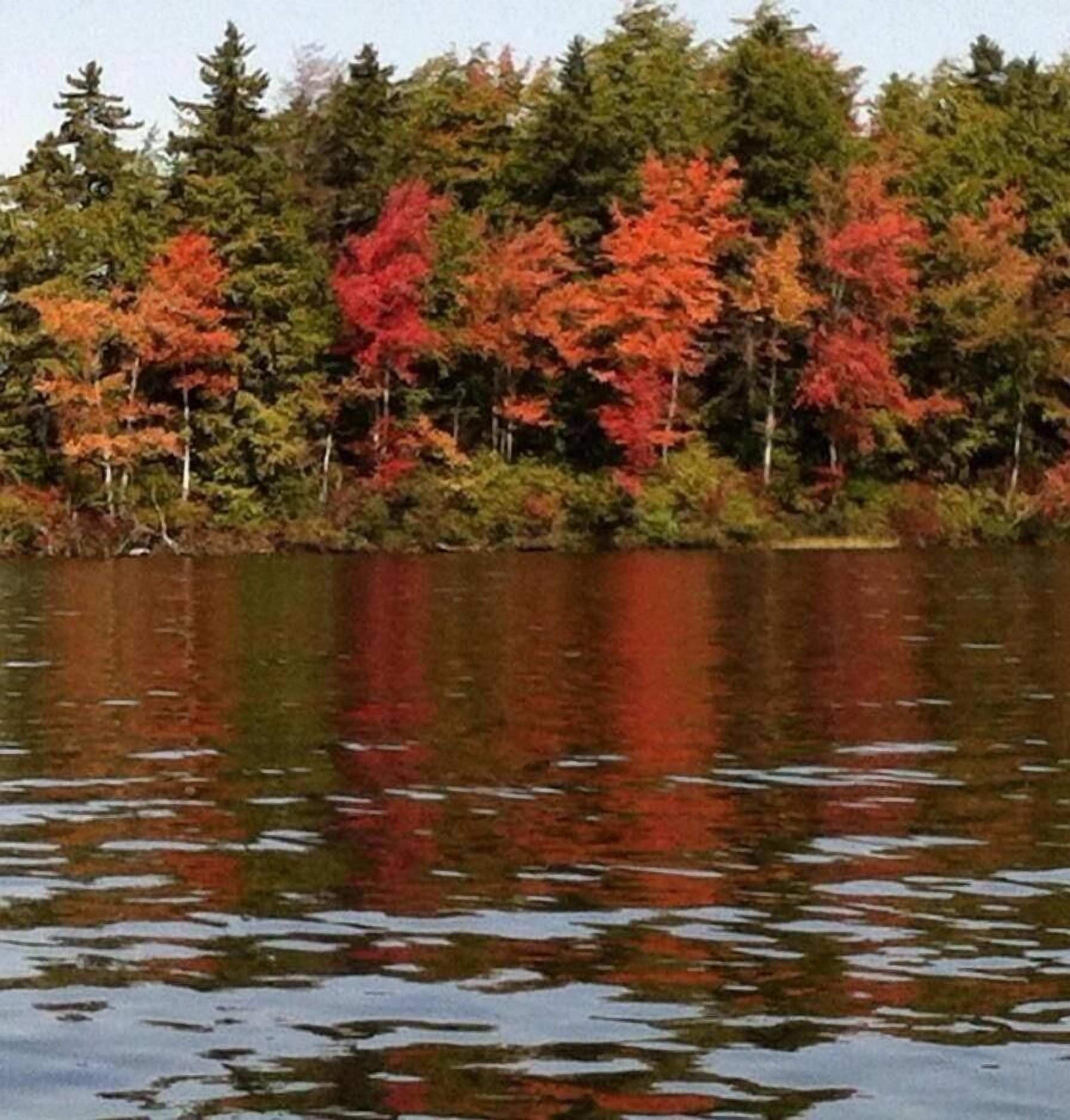 Charming NH log cabin "Lake Escape" on Highland Lake in Stoddard ~