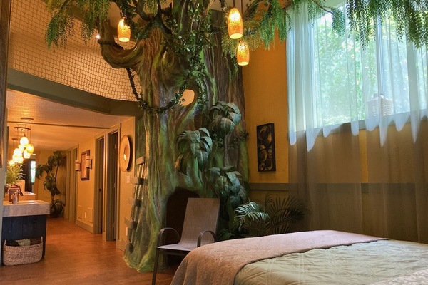 9 bedrooms, iron/ironing board, bed sheets, wheelchair access