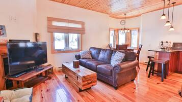 Smart TV, fireplace, DVD player, books