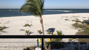 Blick auf einen Strand mit einer Palme, feinem Sand und dem Meer.
