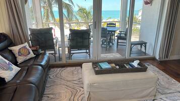 TV connectée, cheminée, lecteur de DVD, livres