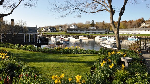 Un port de plaisance avec des bateaux amarrés, une zone herbeuse parsemée de fleurs et des maisons en arrière-plan.