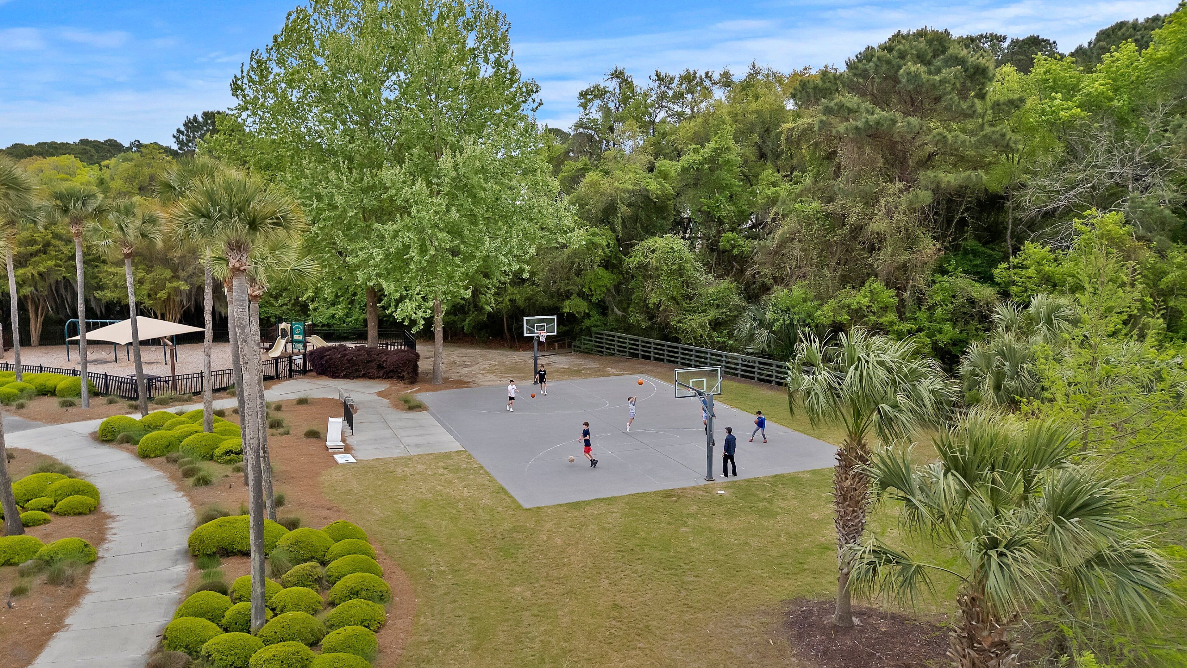 A basketball court surrounded by trees and greenery.