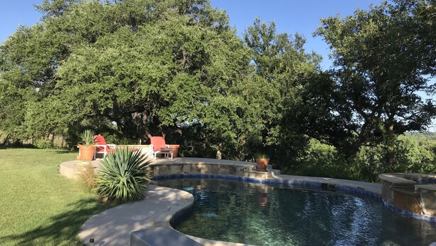 Una piscina con borde curvo, rodeada por un patio de piedra y un césped.