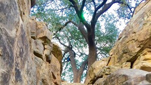 Una escalera de piedra que asciende, flanqueada por grandes paredes de roca, con una barandilla de metal a la izquierda.