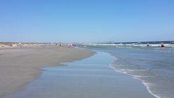 On the beach