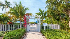 A gated entrance with a white pergola, surrounded by lush greenery and palm trees.