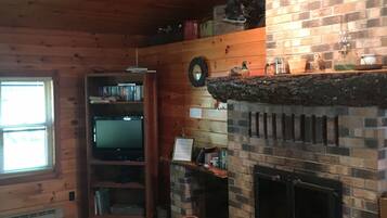 TV, fireplace, DVD player, books