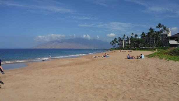 A beach with people sunbathing and walking along the shore.