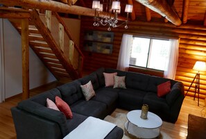 Televisión, chimenea y reproductor de DVD 