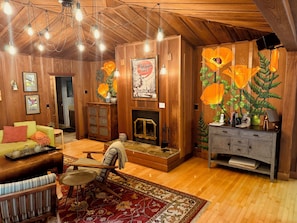 Smart TV, fireplace, books