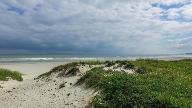 Beach - DA GAMA 202 (Cape Town)