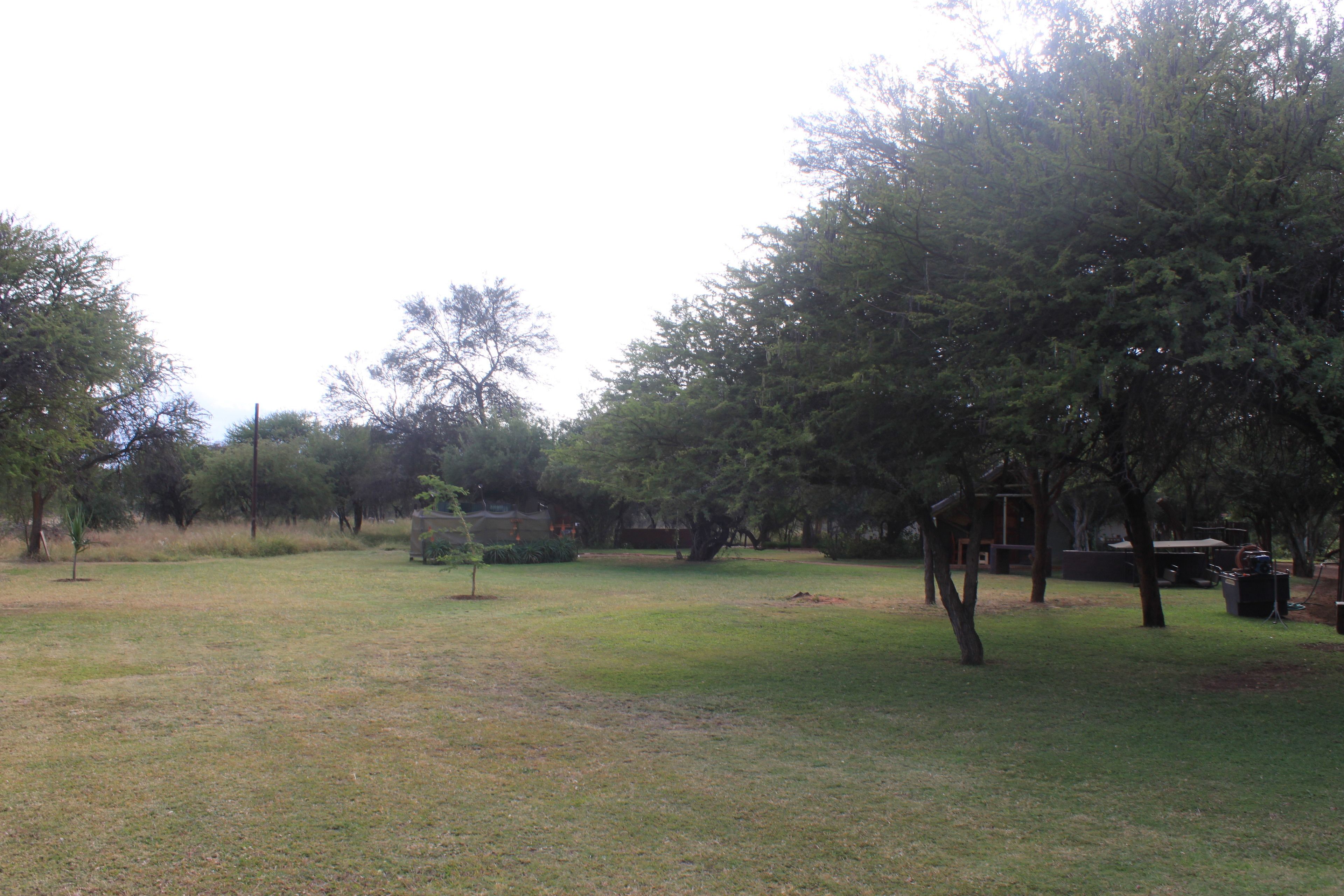 A grassy outdoor area with trees and a wooden structure.