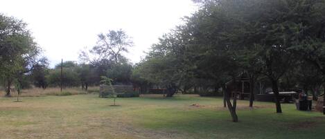 A grassy outdoor area with trees and a wooden structure.