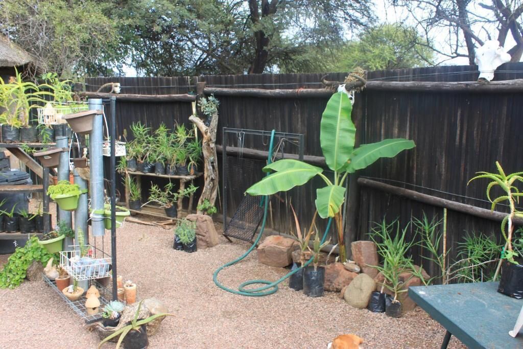 A garden with various plants, a bird feeder, and a wooden fence.