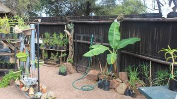 A garden with various plants, a bird feeder, and a wooden fence.