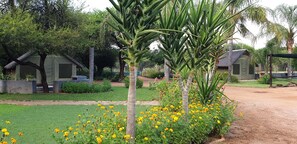 Meerkat Chalet | 床單