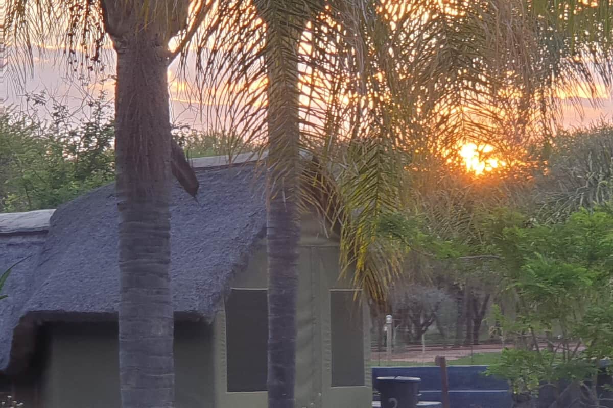 A traditional thatched-roof building surrounded by palm trees and greenery.