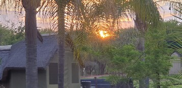 A traditional thatched-roof building surrounded by palm trees and greenery.